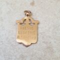 Shield Medallion in 9ct Gold.