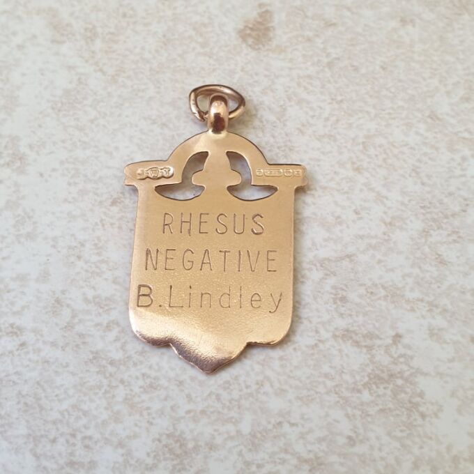 Shield Medallion in 9ct Gold.
