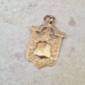 Shield Medallion in 9ct Gold.