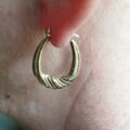 Oval Twist Pattern Creole Hoop Earrings in 9ct Gold
