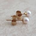 Classic Small Pearl Earrings in 9ct Gold