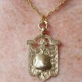 Shield Medallion in 9ct Gold.