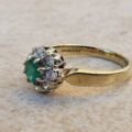 Chrysoprase Dress Ring in 9ct Gold.