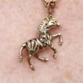 Horse or Pony Pendant with Rubies and Sapphires in 9ct Gold
