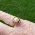 Pearl Solitaire Ring in 9ct Gold.