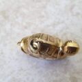 Tortoise Charm Pendant in 9ct Gold
