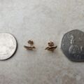 Fun Duck Earrings in 9ct Gold.