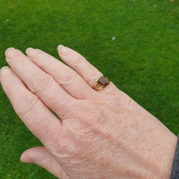 Tiny Tigers Eye Signet Ring in 9ct Gold.