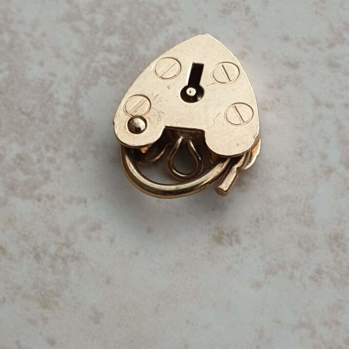 Tiny Working Heart Padlock in 9ct Gold
