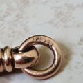 Antique Dog Clip in 9ct Gold