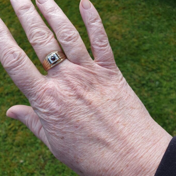 Garnet Set Signet Ring in 9ct Gold