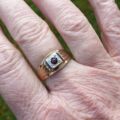 Garnet Set Signet Ring in 9ct Gold