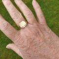 Sunray Signet Ring in 9ct Gold