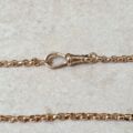 Edwardian Rolo or Belcher Chain with Dog Clip