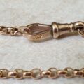 Edwardian Rolo or Belcher Chain with Dog Clip