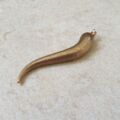 Large Cornicello Horn Pendant in 9ct Gold