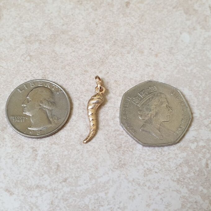 Small Twisted Cornicello Horn Pendant in 9ct Gold