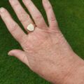 Plain Shield Signet Ring in 9ct Gold