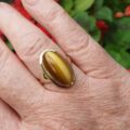 Elongated Tigers Eye Ring in 9ct Gold