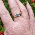 Bloodstone Signet Ring in 9ct Gold
