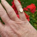 Tiny Signet Ring in 9ct Gold