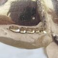 Heavy Terrier Dog Pendant in 9ct Gold