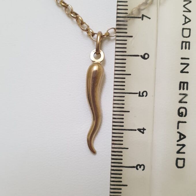 Cornicello Horn in 9ct Gold