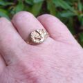 Horse Shoe Signet Ring in 9ct Gold