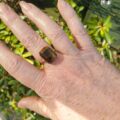 Unusual Tigers Eye Ring in 9ct Gold