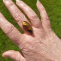 Elongated Tigers Eye Ring in 9ct Gold