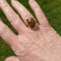 Tigers Eye Ring in 9ct Gold