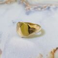 Shield Signet Ring in 9ct Gold