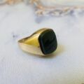 Bloodstone Signet Ring in 9ct Gold