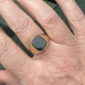Bloodstone Signet Ring in 9ct Gold