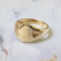 Shield Signet Ring in 9ct Gold