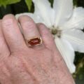 Carnelian ring in 9ct Gold