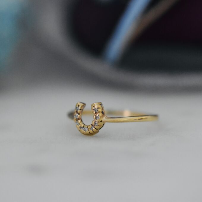 Dainty Horseshoe Ring in 10k Gold
