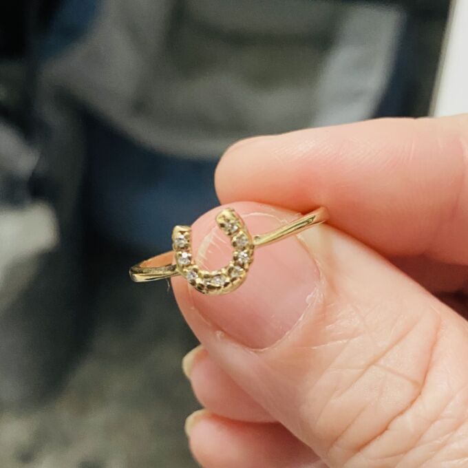 Dainty Horseshoe Ring in 10k Gold