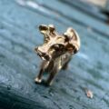 Dairy Cow Charm Pendant in 9ct Gold