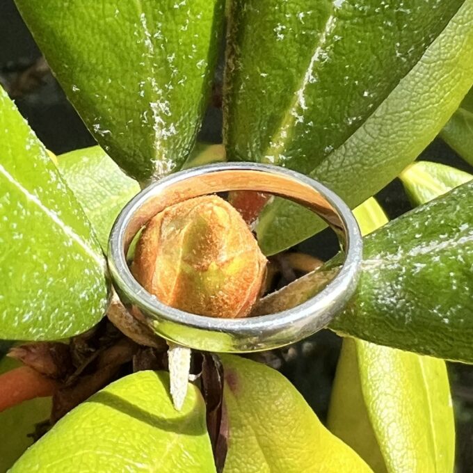 Simple Band Ring in Platinum