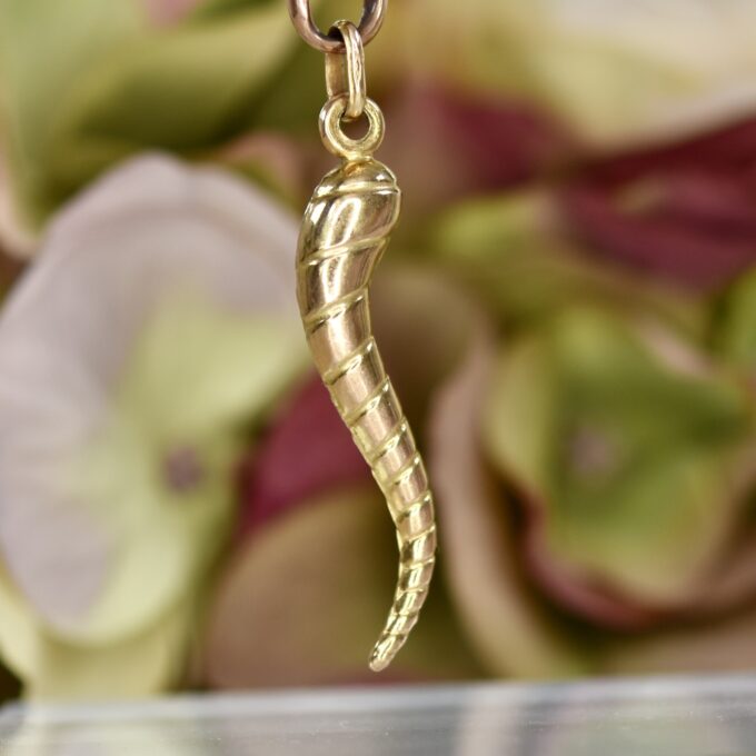 Cornicello Horn in 9ct Gold