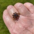 Garnet Cluster Ring in 9ct Gold