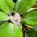 Edwardian Engraved Heart Padlock in 9ct Gold
