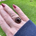 Garnet Cluster Ring in 9ct Gold