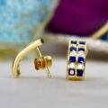 Blue and White Earrings in 9ct Gold